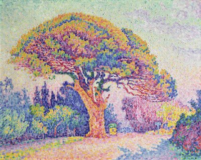 O pinheiro em St. Tropez, 1909 de Paul Signac